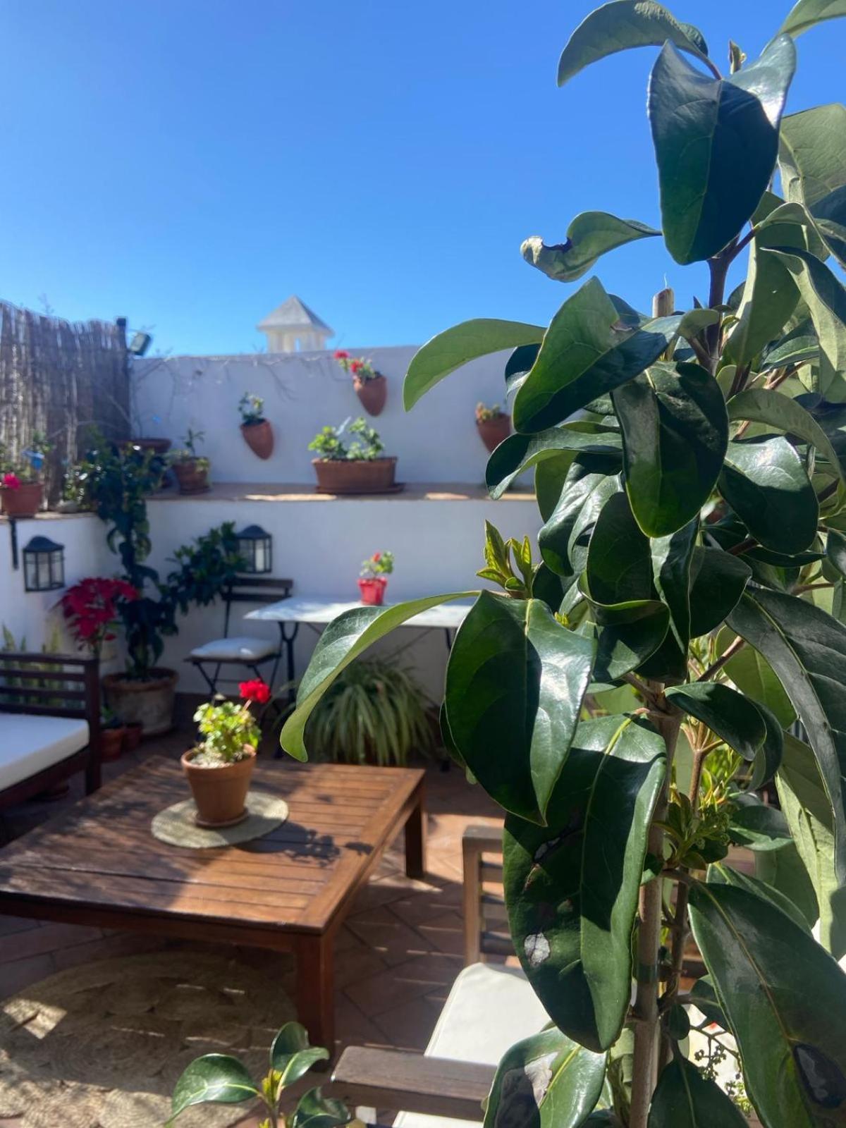 La Gitanilla Alojamiento & Encanto Jerez Χέρεζ Εξωτερικό φωτογραφία